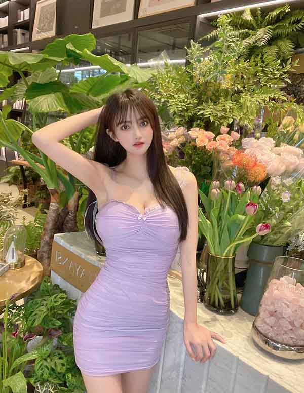 波士顿外围伴游